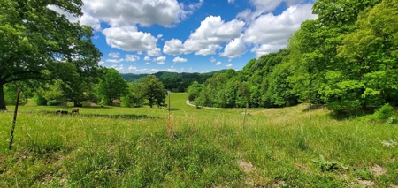 7.5 Acres Unrestricted Land in Sneedville, TN For Sale - image 12