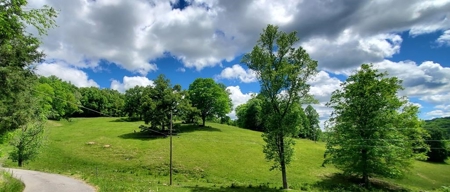 7.5 Acres Unrestricted Land in Sneedville, TN For Sale - image 3