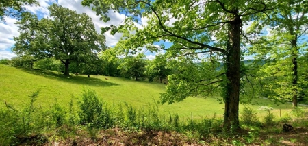 7.5 Acres Unrestricted Land in Sneedville, TN For Sale - image 10