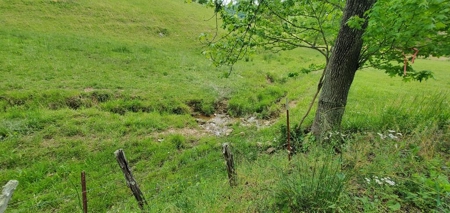 7.5 Acres Unrestricted Land in Sneedville, TN For Sale - image 7