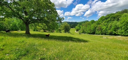 7.5 Acres Unrestricted Land in Sneedville, TN For Sale - image 15
