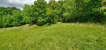 7.5 Acres Unrestricted Land in Sneedville, TN For Sale - image 14