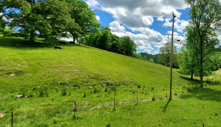 7.5 Acres Unrestricted Land in Sneedville, TN For Sale - image 4