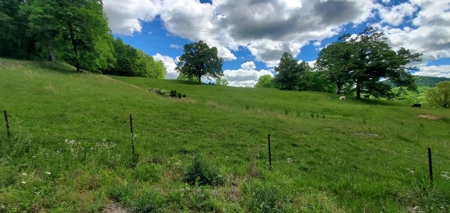7.5 Acres Unrestricted Land in Sneedville, TN For Sale - image 9