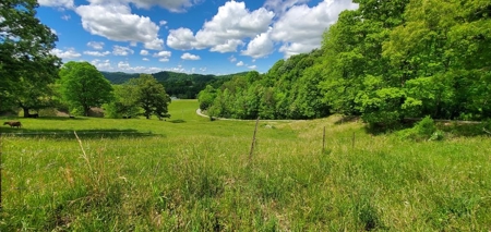 7.5 Acres Unrestricted Land in Sneedville, TN For Sale - image 11