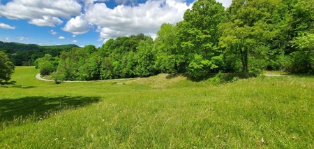 7.5 Acres Unrestricted Land in Sneedville, TN For Sale - image 13