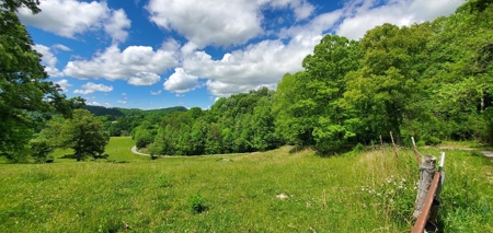 7.5 Acres Unrestricted Land in Sneedville, TN For Sale - image 16