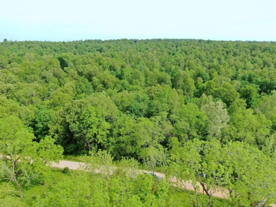 Land for sale in the Ozarks - image 3