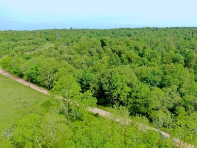 Land for sale in the Ozarks - image 4