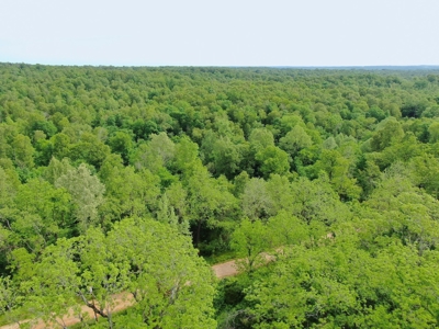 Land for sale in the Ozarks - image 5