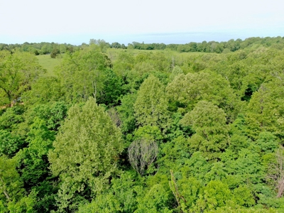 Land for sale in the Ozarks - image 9