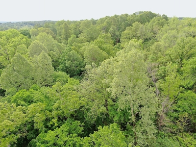 Land for sale in the Ozarks - image 8