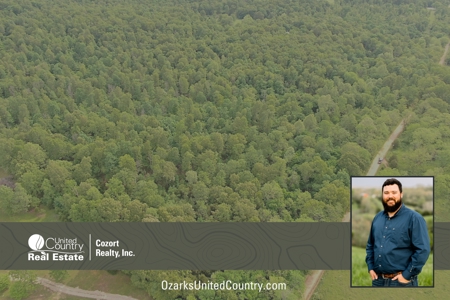 Land for sale in the Ozarks - image 13