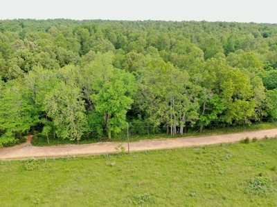 Land for sale in the Ozarks - image 11