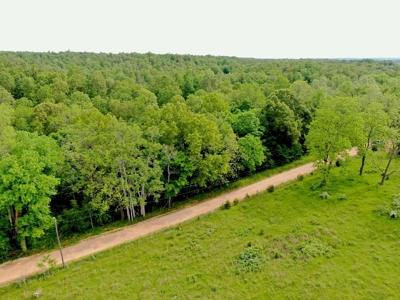 Land for sale in the Ozarks - image 12