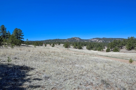 Colorado Log Sided Mountain Home with Live Stream - image 35