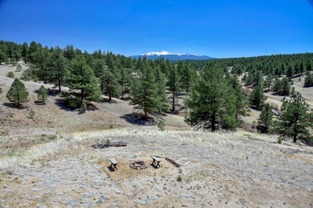 Colorado Log Sided Mountain Home with Live Stream - image 32