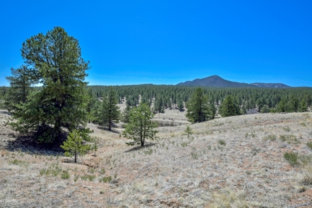 Colorado Log Sided Mountain Home with Live Stream - image 37