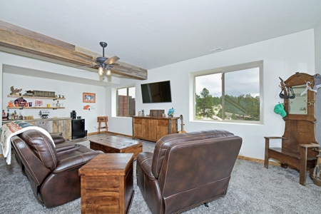 Colorado Log Sided Mountain Home with Live Stream - image 18