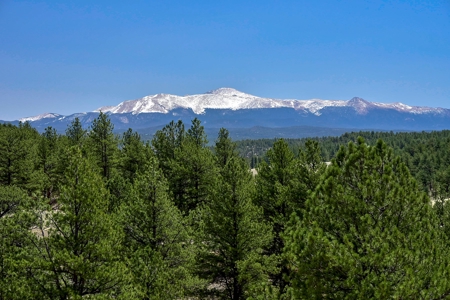 Colorado Log Sided Mountain Home with Live Stream - image 34
