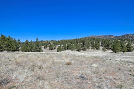 Colorado Log Sided Mountain Home with Live Stream - image 36