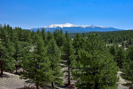 Colorado Log Sided Mountain Home with Live Stream - image 33