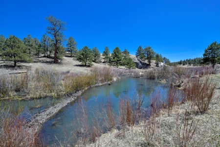 Colorado Log Sided Mountain Home with Live Stream - image 39