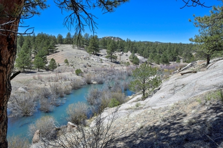 Colorado Log Sided Mountain Home with Live Stream - image 29