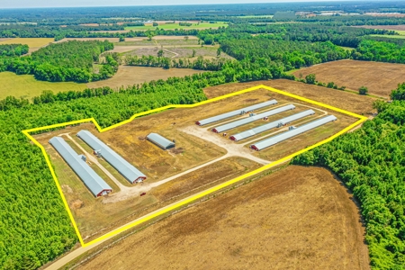 Active Poultry Farm - image 6