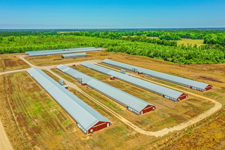 Active Poultry Farm - image 1