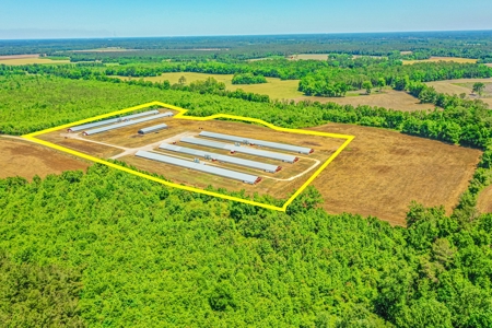 Active Poultry Farm - image 8