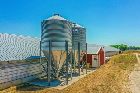 Active Poultry Farm - image 12