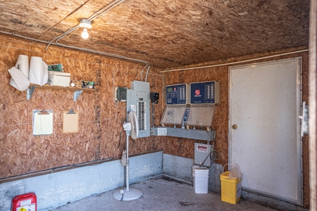 Active Poultry Farm - image 18