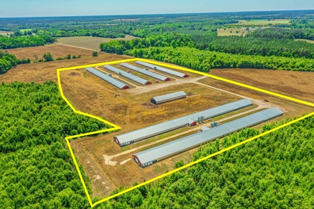 Active Poultry Farm - image 11