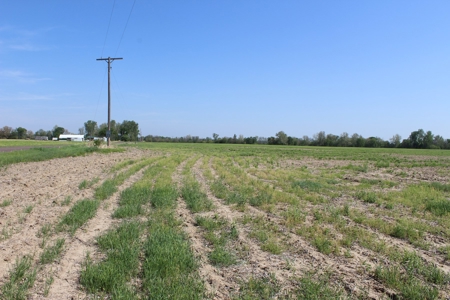 REB Investment CO Farmland Auction Tract 1 - image 7