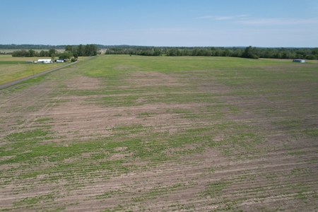 REB Investment CO Farmland Auction Tract 1 - image 1