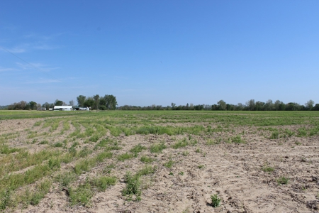 REB Investment CO Farmland Auction Tract 1 - image 9