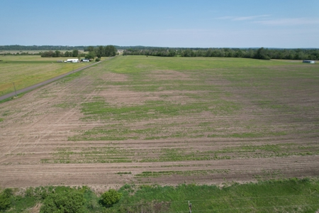 REB Investment CO Farmland Auction Tract 1 - image 2