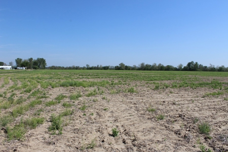 REB Investment CO Farmland Auction Tract 1 - image 10