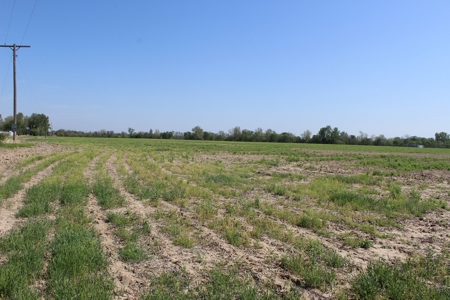 REB Investment CO Farmland Auction Tract 1 - image 6