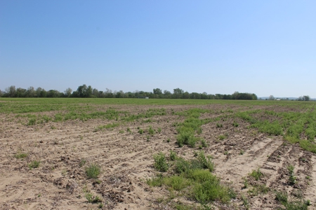 REB Investment CO Farmland Auction Tract 1 - image 12