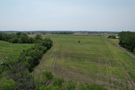 REB Investment CO Farmland Auction Tract 1 - image 3