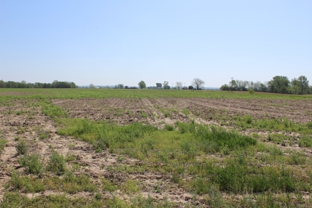 REB Investment CO Farmland Auction Tract 1 - image 4