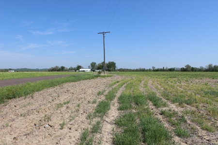 REB Investment CO Farmland Auction Tract 1 - image 8
