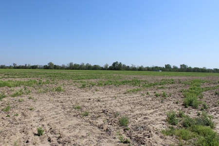 REB Investment CO Farmland Auction Tract 1 - image 11