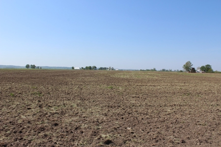 REB Investment CO Farmland Auction Tract 4 - image 6