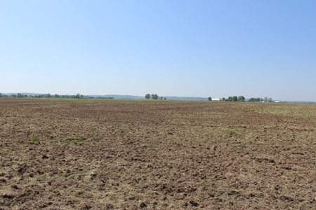 REB Investment CO Farmland Auction Tract 4 - image 10