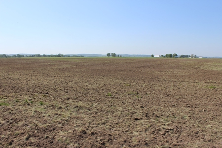 REB Investment CO Farmland Auction Tract 4 - image 13