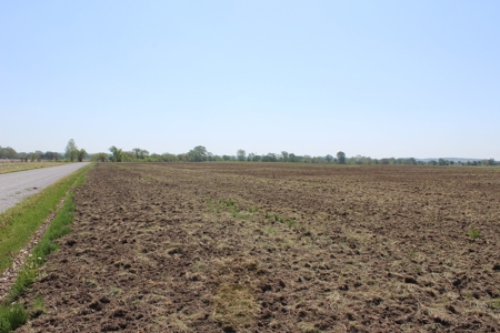 REB Investment CO Farmland Auction Tract 4 - image 8