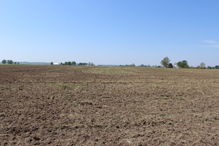 REB Investment CO Farmland Auction Tract 4 - image 11